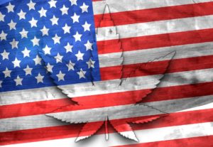USA & THC : Black Market is coming ?