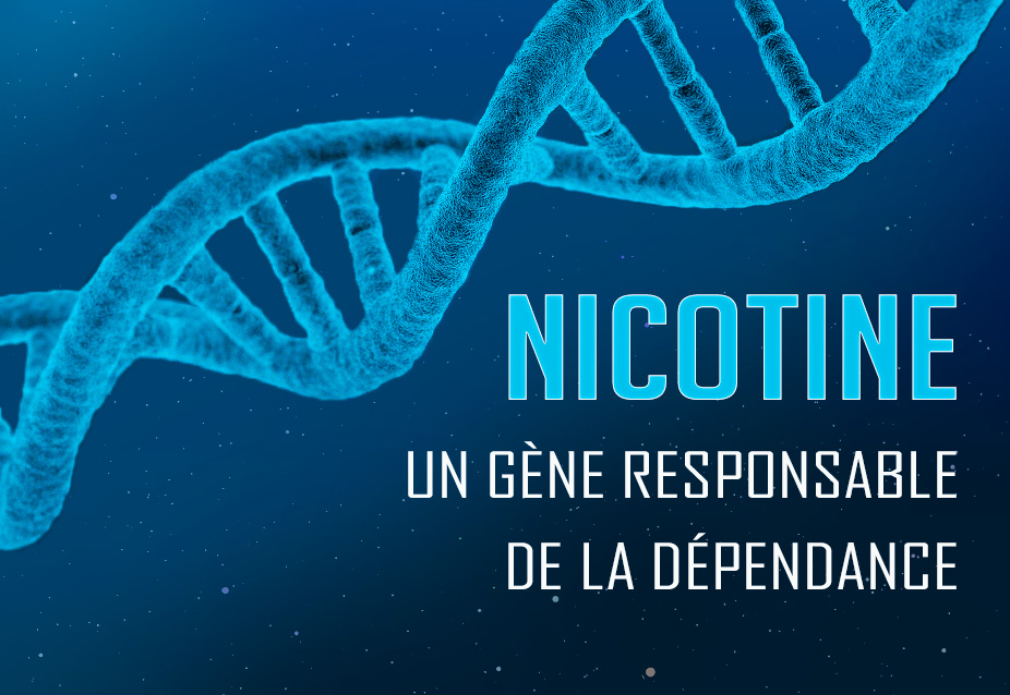gène dépendance nicotine slit3