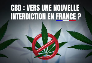 CBD : Vers une nouvelle interdiction en France ?