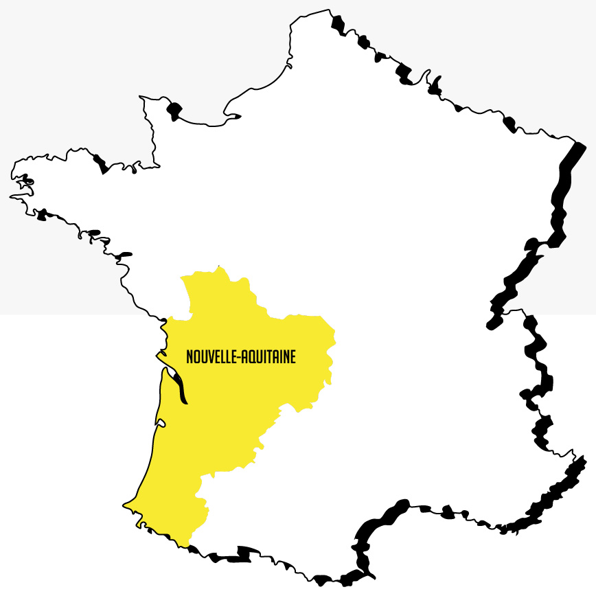 Le vapotage chez l'ado : données en Nouvelle-Aquitaine