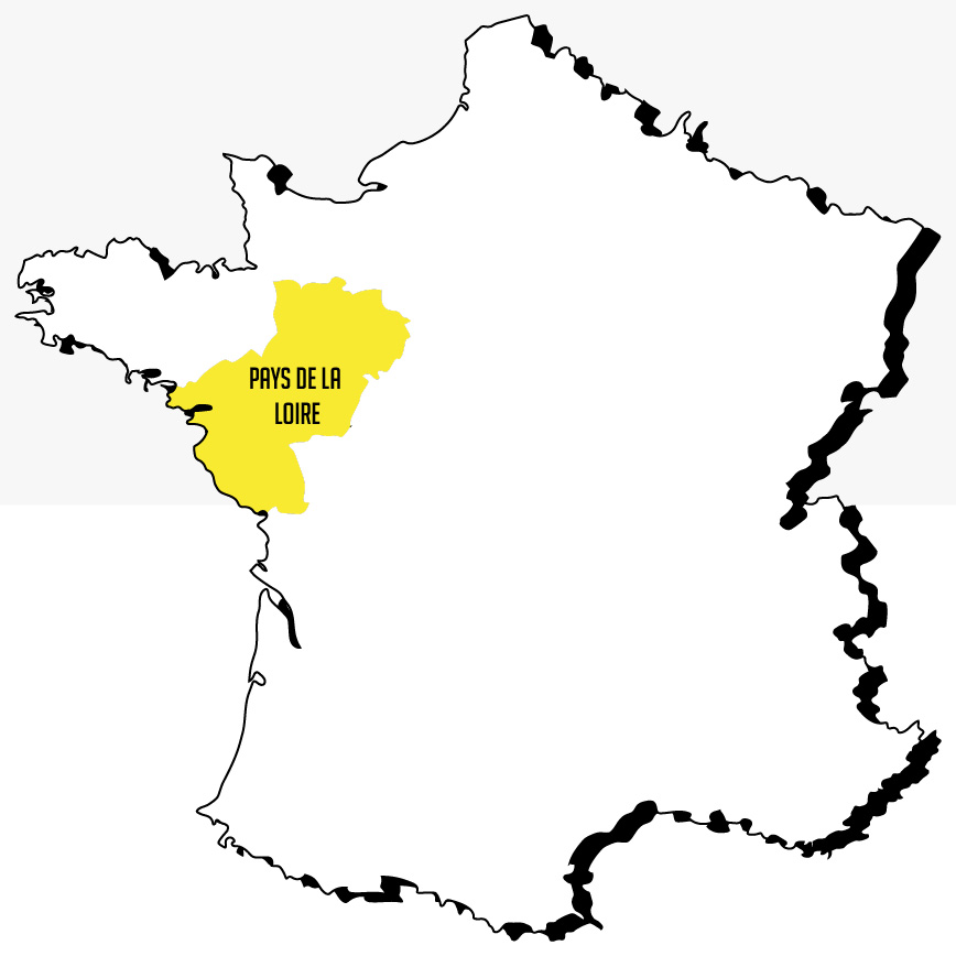 Le vapotage chez l'ado : données en Pays de la Loire
